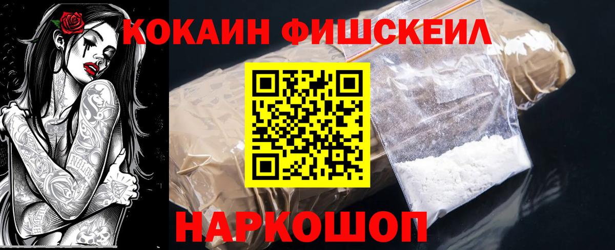 Cocaine Fish Scale  Вход с VPN  Губкинский 