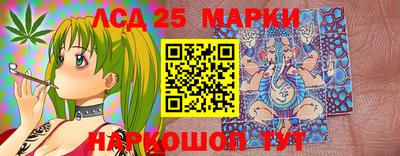 гидропоника Бийск