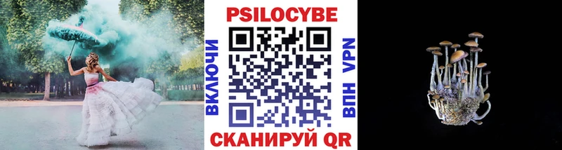 Галлюциногенные грибы прущие грибы  Губкинский 