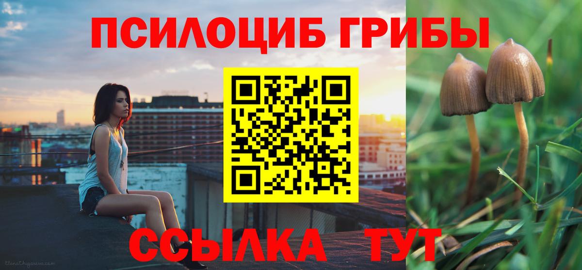 Галлюциногенные грибы ЛСД  Вход с VPN  Губкинский 